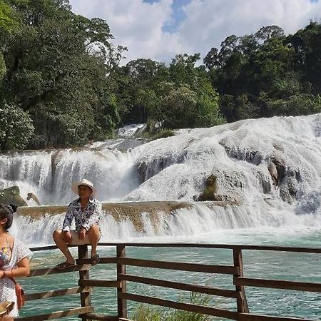 Posada Tzeltal Arroyo Agua Azul Extérieur photo