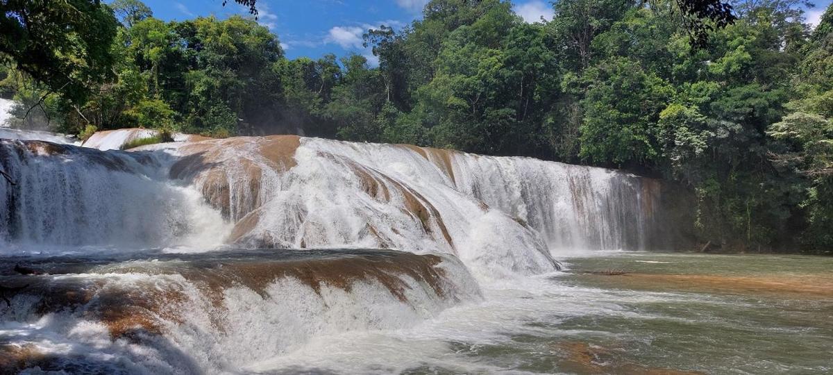 Posada Tzeltal Arroyo Agua Azul Extérieur photo
